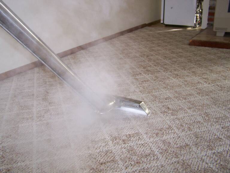 emergency carpet cleaning services panama city florida